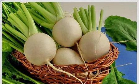 芜菁种植时间和方法