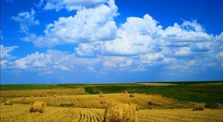 世上本来无事,庸人自扰扰之意思(世上本无事庸人自扰之是什么意思啊)