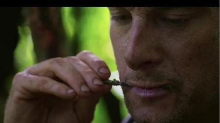 60秒拿东西生存100天游戏(60生存在哪里可以下载)