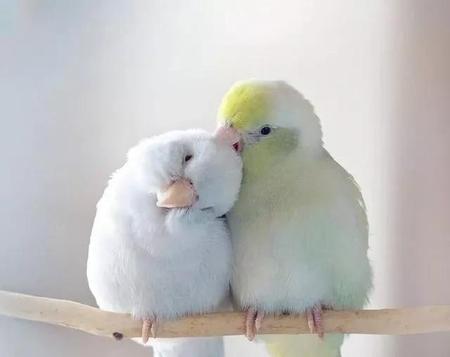 夫妻长期两地分居,一般逃不出这三种结局