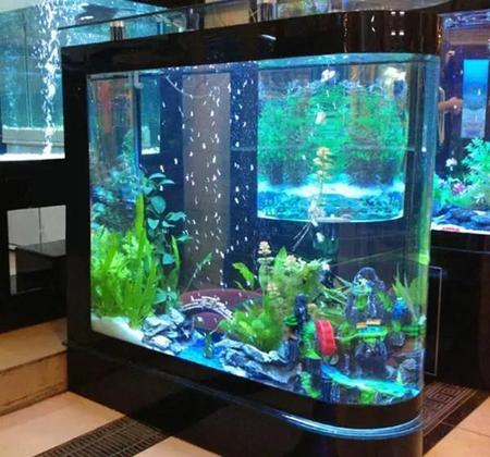 鱼缸水发黄浑浊的解决办法(鱼缸水浑浊发黄原因和解决方案)