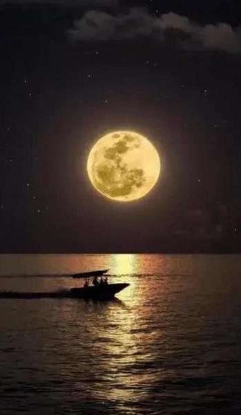 朱棣的儿子造过反吗