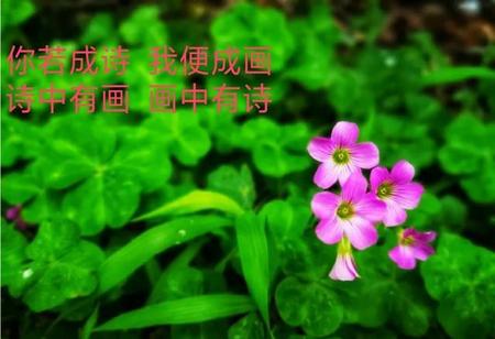 入骨相思何时止