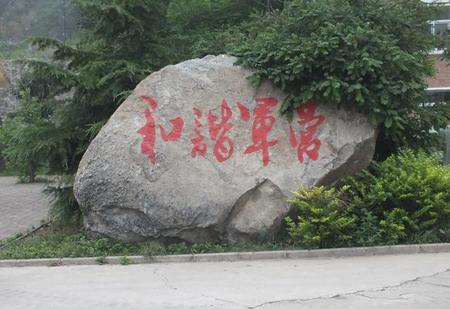 当兵最好当几年(当兵怎么才能当12年)