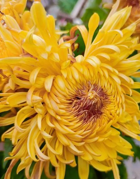 有内涵高级感的句子