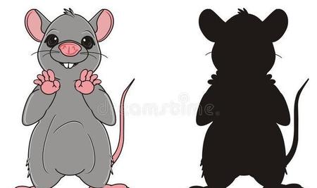 妻管严的生肖(老婆打一生肖)