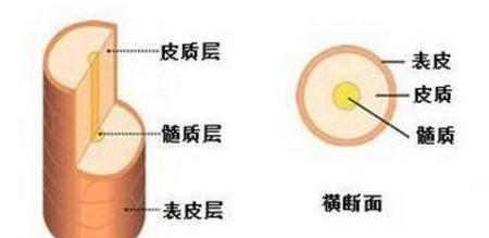 染发为什么有的加热有的不加热(染头发时加热有什么用)