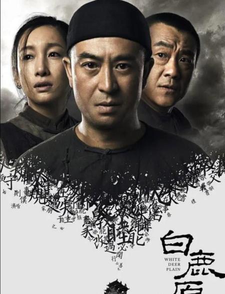 白鹿原电视剧评价(白鹿原电视剧豆瓣影评)