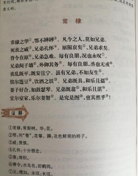 兄弟阋墙典故解释(成语兄弟阋墙是什么意思)