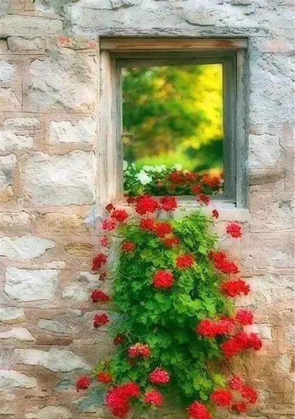 手机吃鸡是腾讯的游戏吗(腾讯游戏最新手游)