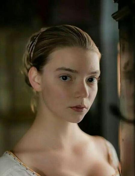 英剧娃娃屋原著结局