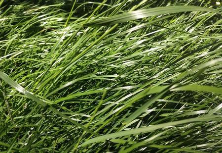 嫁给穷小子后来都怎么样了(穷小子竟嫁给亿万身家的老婆)