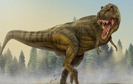 霸王龙能打败特暴龙吗