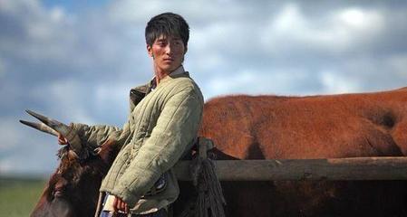 《狼图腾》结局(狼图腾小说读后感)