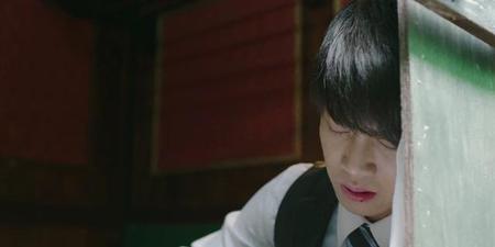 秋蝉结局太悲(秋蝉任嘉伦戏份太少)